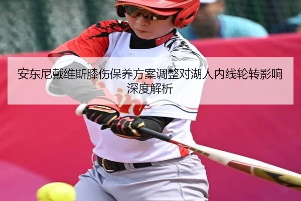 an-dong-ni-dai-wei-si-xi-shang-bao-yang-fang-an-tiao-zheng-dui-hu-ren-nei-xian-lun-zhuan-ying-xiang-shen-du-jie-xi-2-362.jpg